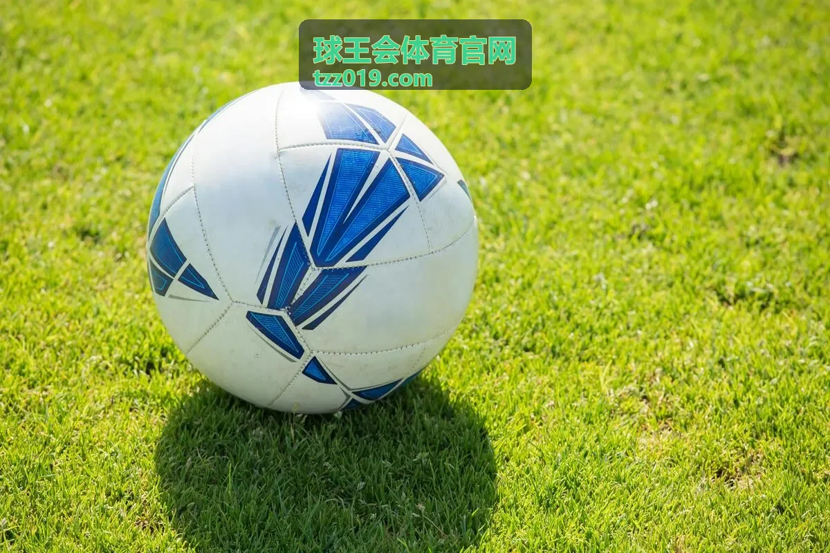 球王会体育官网赛季数据盘点
