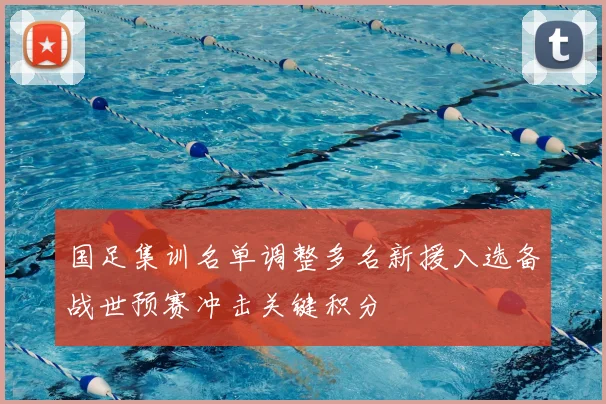国足集训名单调整多名新援入选备战世预赛冲击关键积分